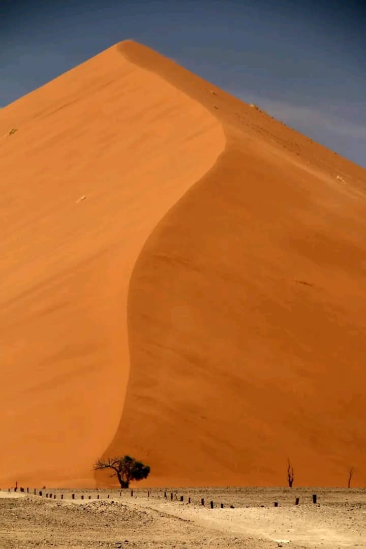 Namibian Landscape